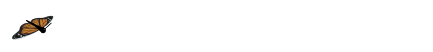 1butterfly.gif (52764 bytes)